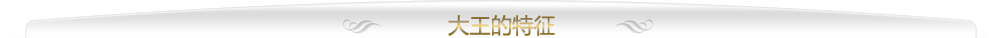 大王制作所的特征