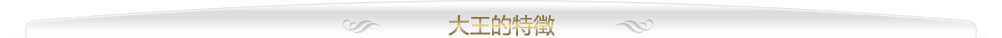大王製作所的特徵