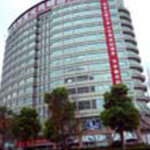 Chinese local corporation