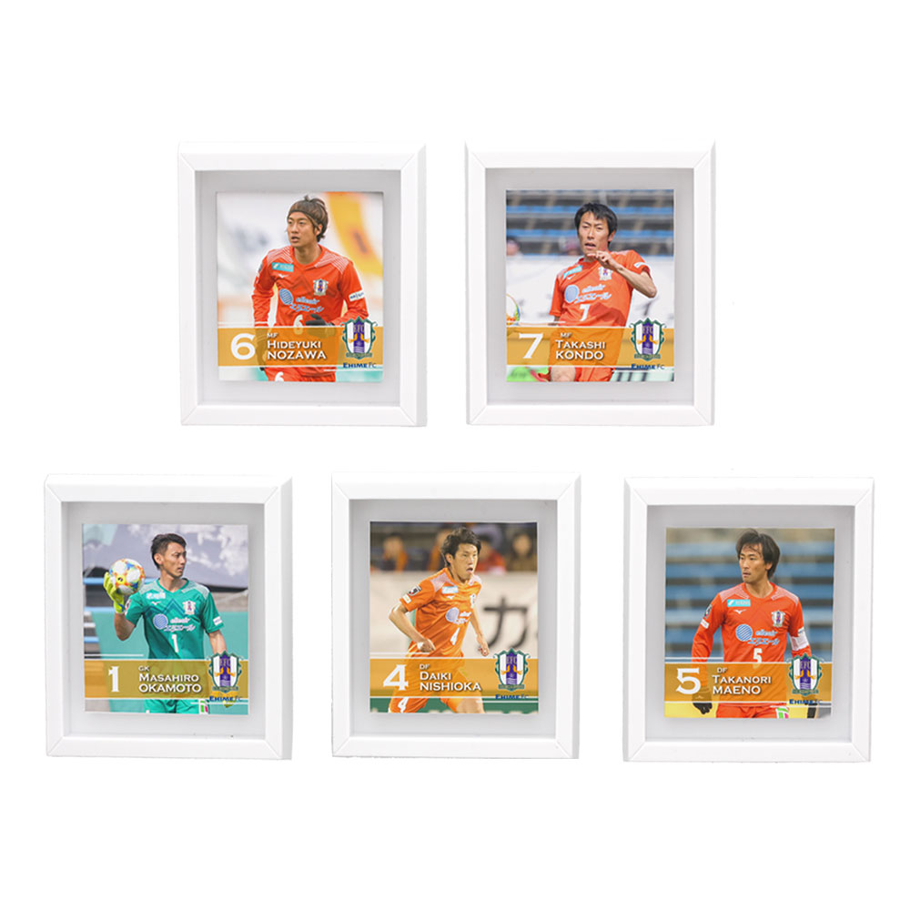 Ehime FC Co., Ltd.