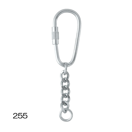 Keychain 255/303/308