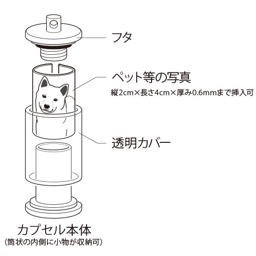 Memory capsule