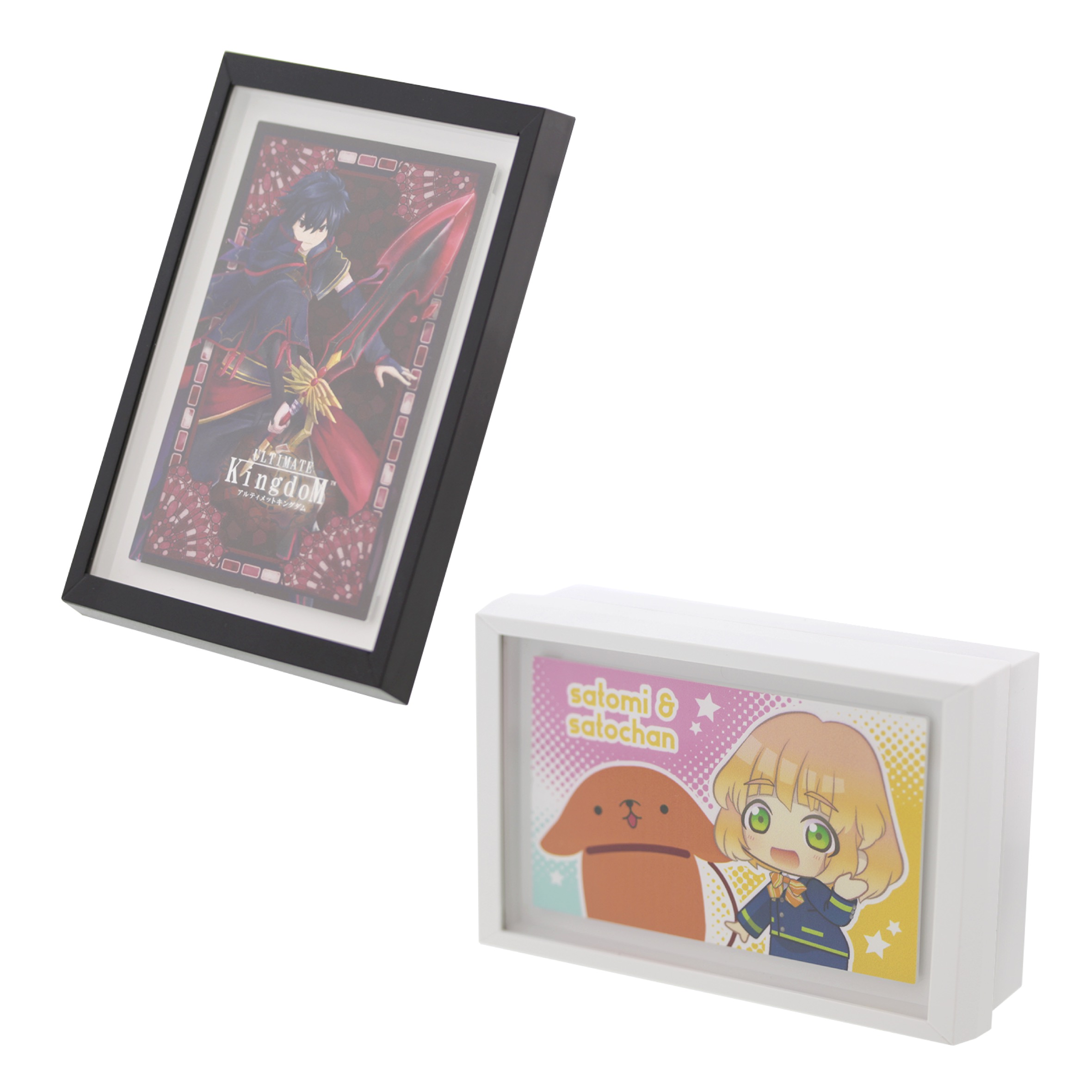 Picture frame BIG & accessory case