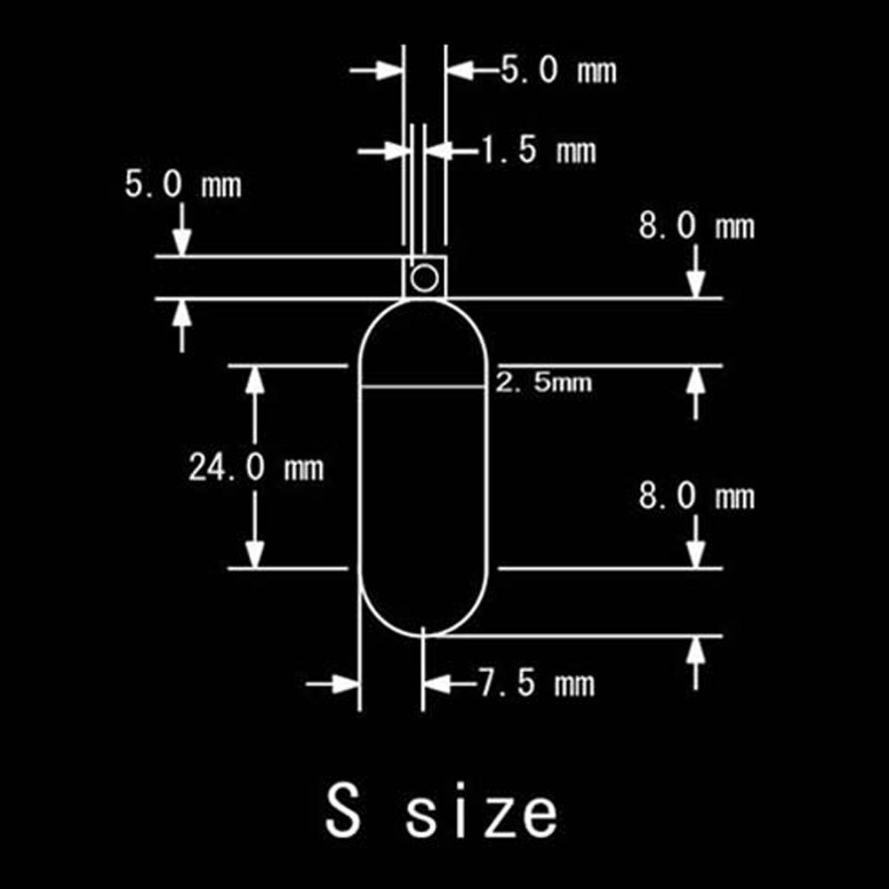 Stainless capsule