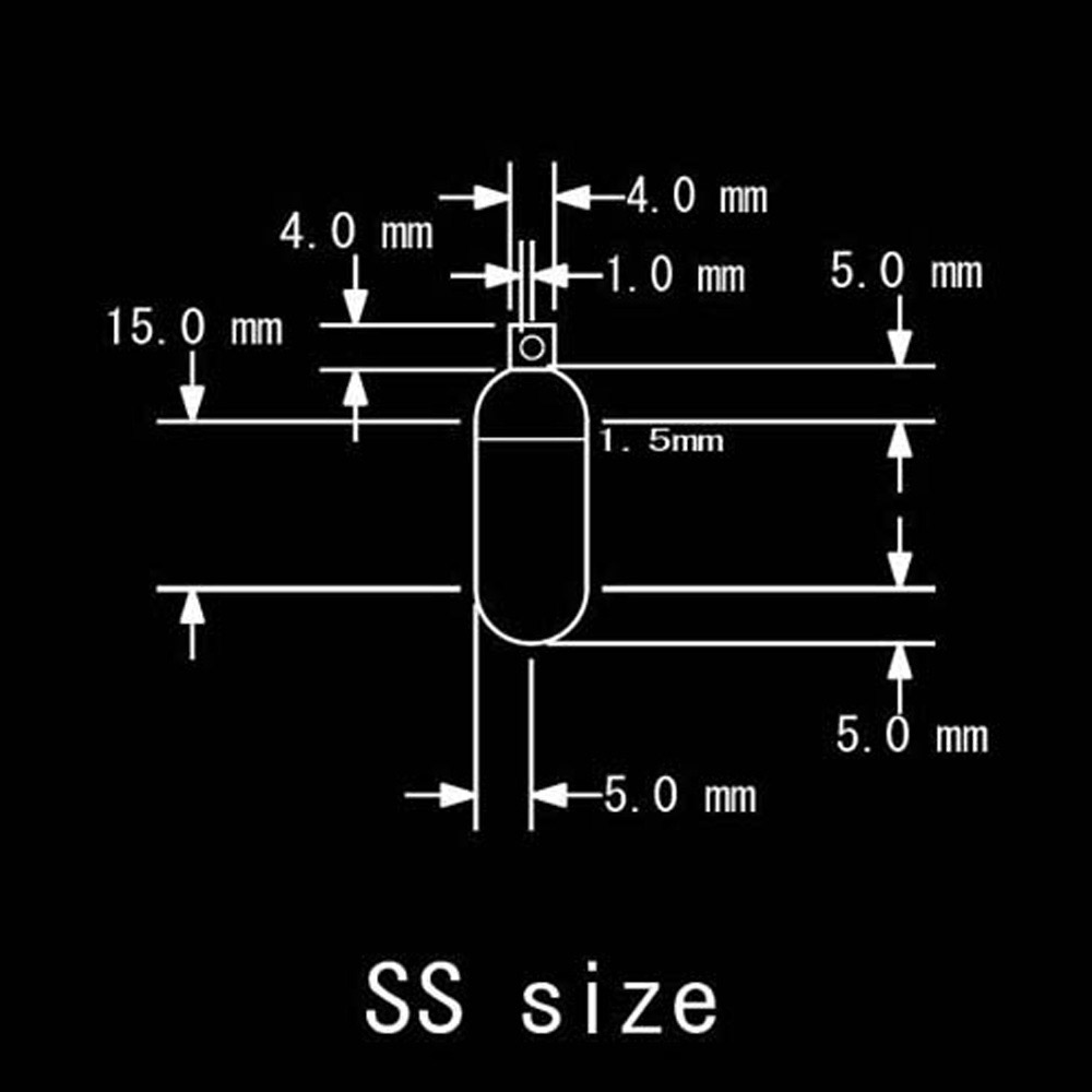 스테인레스 스틸 캡슐