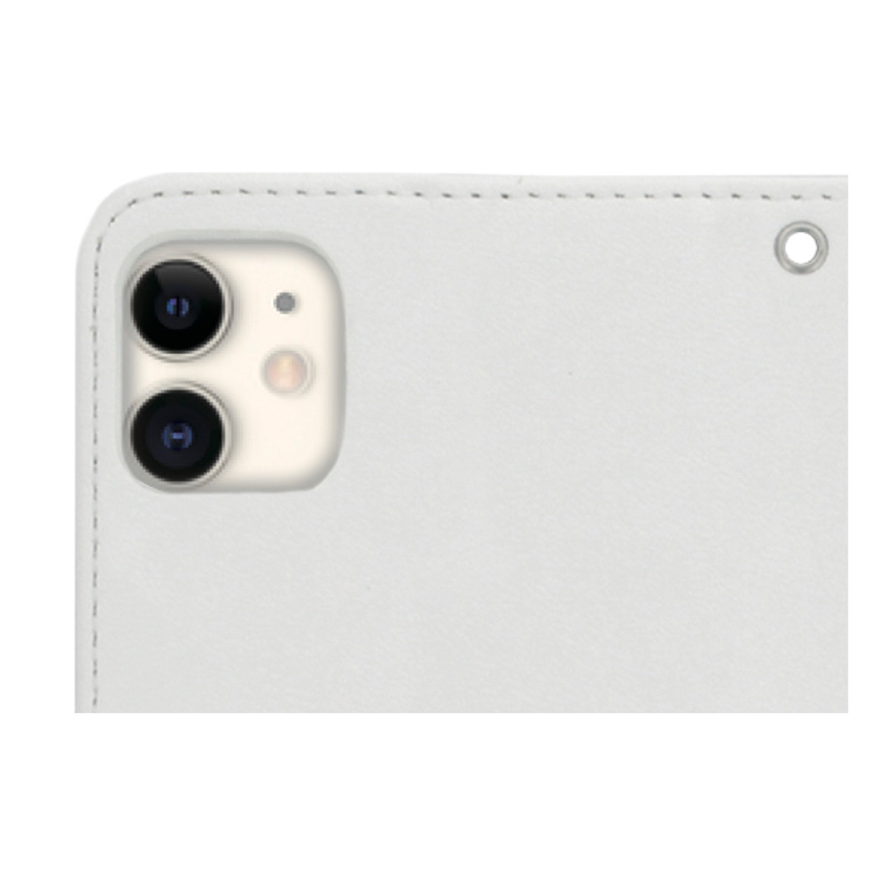 兼容型号（相机孔比较）iPhone 11